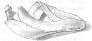 Nanny Ogg's Cookbook-24.jpg